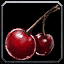 Hyjal Berries