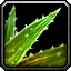 Swiftthistle