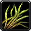 Morrowgrain