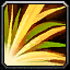 Sungrass