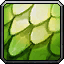 Green Whelp Scale